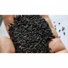 Best quality single spice black Cumin seeds (Nigella sativa) at best price form india