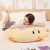 Import Bestseller 40cm 55cm Plush Toy Pillow Custom Summer Cool Mat Pillow Waist Pillow Summer Relief Gift from China