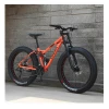 Bicycle adults 700C 20 speed Aluminum alloy frame body road mountain bike bicycle