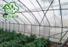 Big snow load capacity Glass multi span venlo type roof greenhouse for cold area