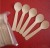 Import biodegradable disposable bamboo spoons from China