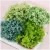 BLH Everlasting Preserved Hydrangea Flowers In Box DIY Decoration Accessories For Wedding Small Leaf Hydrangea Dried Flowers