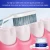 Import BREYLEE organic pearl powder teeth whitening eco teeth whitening from China