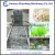Import Bubble leafy vegetable &fruit washer from China