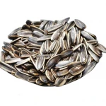Bulk Raw Sunflower Seeds Available for Birds in Wholesale Rates