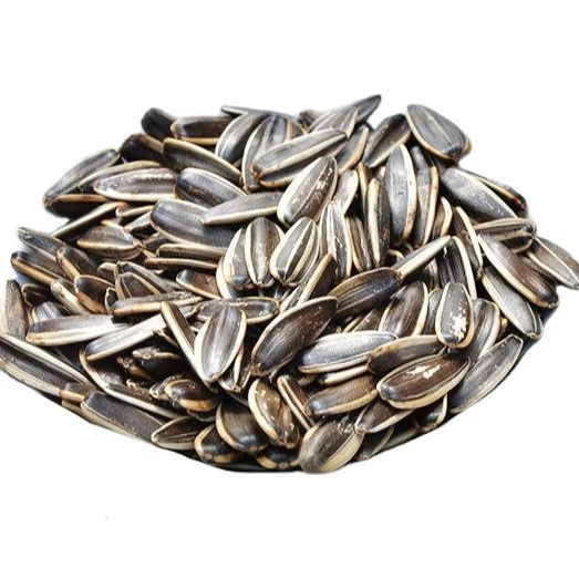 Bulk Raw Sunflower Seeds Available for Birds in Wholesale Rates