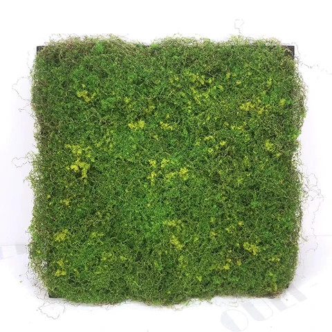 Bulk stock Artificial Moss Block Craft Moss Potted Plant Flower Centerpieces Decor