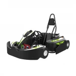 Cammus customizable professional kart cross buggy racing go kart for adults