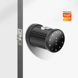 Carraduras electric locks inteligente tuya TTlock deadbolt wifi smart door lock