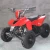 Import CE approved 49cc Mini Quad ATV, popular Kids ATVs from China