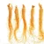 Import Changbai Mountain Fresh ginseng/Factory wholesale from China