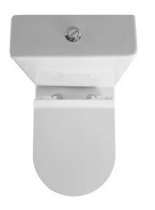Chaozhou ceramic sanitary ware bathroom white color wc toilet seat