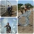 Import Cheap Price Wholesale Galvanized Barbed Wire With Customizable Specifications/50kg 25kg/Roll Galvanized 2 Strand Barbed Wire from China