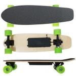 Cheap small fish electric hub motor roller skate board