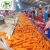 Import China highest quality carrot for export from China