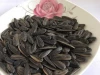 Chinese big size long type black sunflower seeds