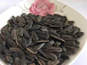 Chinese big size long type black sunflower seeds