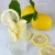 Import Chinese Fresh Eureka lemon for export from China