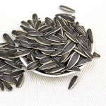Chinese Roasted original flavor Sunflower seeds