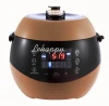 Chinese supplier high quality new products safty guard  computer slow cook electric Pressure cooker