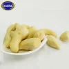 Chinese vegetables factory supply frozen ginger