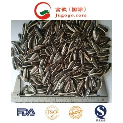Chinese White and Black Sunflower Seeds 5009, 363, 601 Exporter