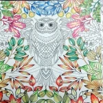 color me drawing paper