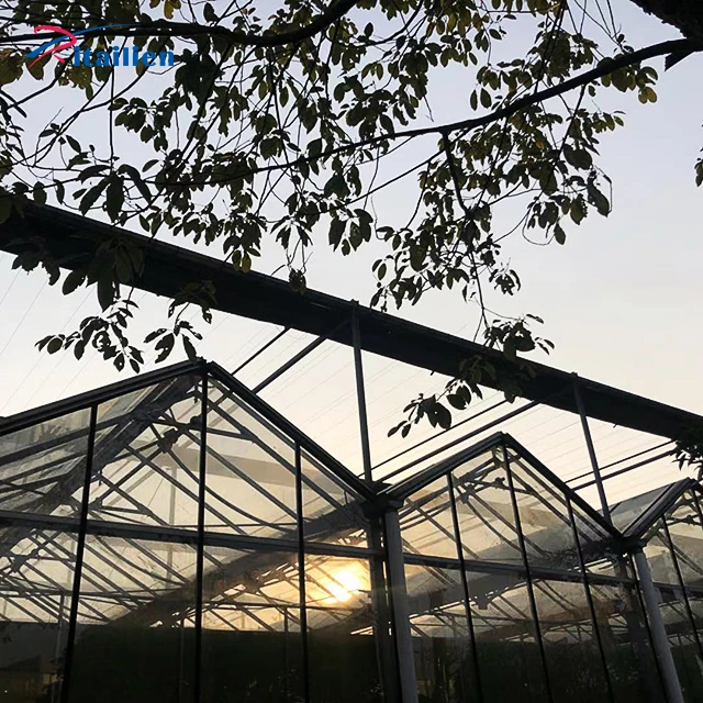 Commercial Plastic Film Temperature Control Toughened Greenhouse Kit Buy China 4 Season Glass Greenhouses
