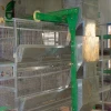 Commerical chicken cage with full line products for chicken farm