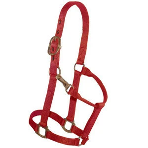 Custom Adjustable Nylon Padded Horse Headcollars Halter Strong Halter With Adjustable Chin and Snap