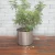 Import Custom Outdoor or Indoor Metal Stainless Steel Flower Planters Large for Home or Garden Use from China