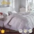 Import Customized Hotel Best Sleeping Bedroom Duvet 20% White Goose Comforter Down Duvet Quilt from China