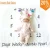 Import Customized Photography Props Monthly Baby Milestone Blanket from China