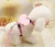 Import Cute Angel Pet Dog Leashes and Collars Set Puppy Leads for Small Dogs Cats Designer Wing Adjustable Dog Harness Pet Accessories from China