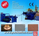 DEYI PP Plant Climbing Support Net Making Machine