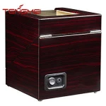 Double Watch Winder case with Japanese Motor