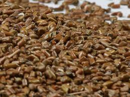 Dried Mature Cassia Seed For Herbal Medicine
