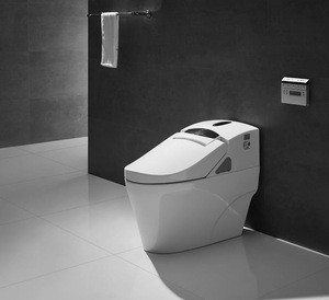 Dual-flush Ceramic Electric Warm Water Spray Electronic Toilet ZJS-02