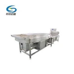Easy operate rotary leaf salad air bubble vegetable washer