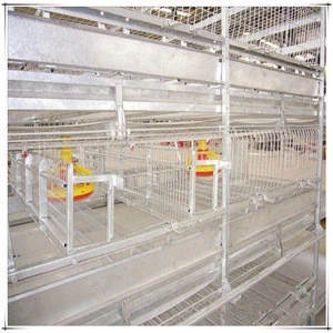 egg laying chicken farm products in henan chicken breeding cage system