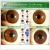 Import English iris analyzer with eye iriscope iridology camera pro software from China