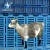 Import Factory direct sale farm equipment goat poultry PP pig plastic slat flooring for sale from China