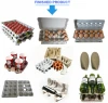 Factory making egg tray making machine/egg farm machine/egg carton making machine production line