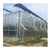 Factory Price Long Life Use High Quality Multi Span Agriculture Glass Greenhouse