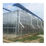 Factory Price Long Life Use High Quality Multi Span Agriculture Glass Greenhouse