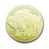 Fan Shu Hot Sell US Souvenir Metal Coin 1 OZ .9999 Fine Gold 24K Plated Liberty Indian Coin