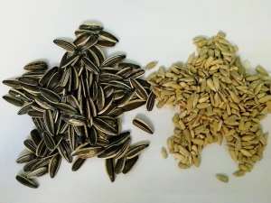 Food Product Names, Sunflower Seeds Kernels