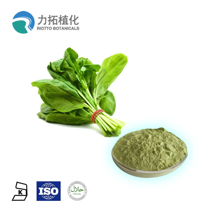 Freeze dried spinach powder 100%  pure with enough stock