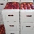 Import FRESH APPLE WHOLESALE PRICE! from Thailand