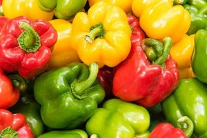 Fresh Bell Peppers/Color Capsicum/Exotic Vegetables!!